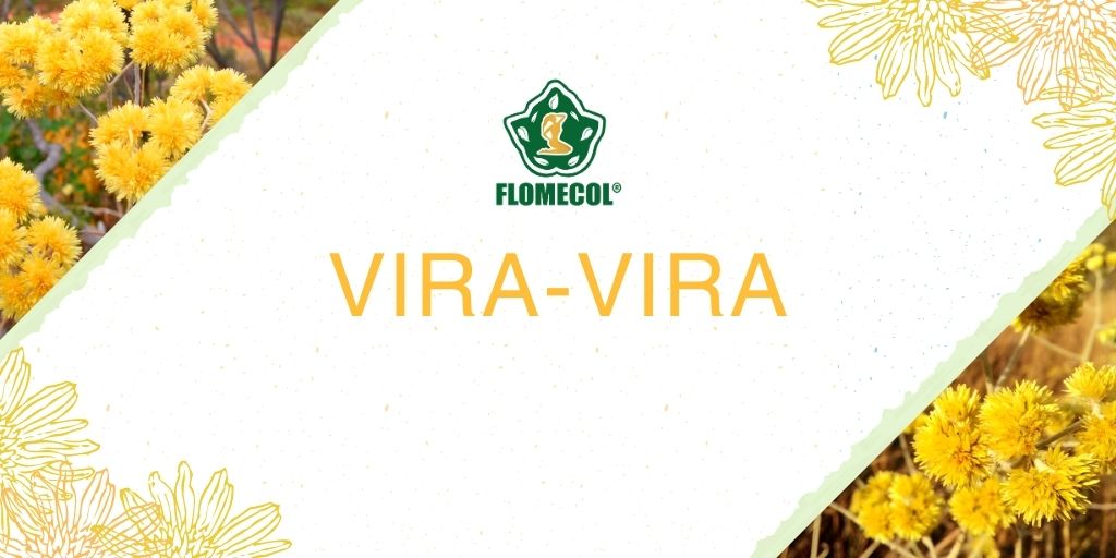 ¿Qué es la vira-vira?