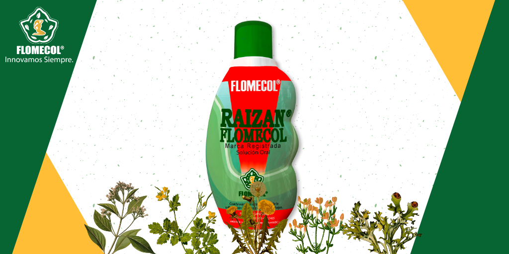 ¿Qué es Fitoterapéutico?